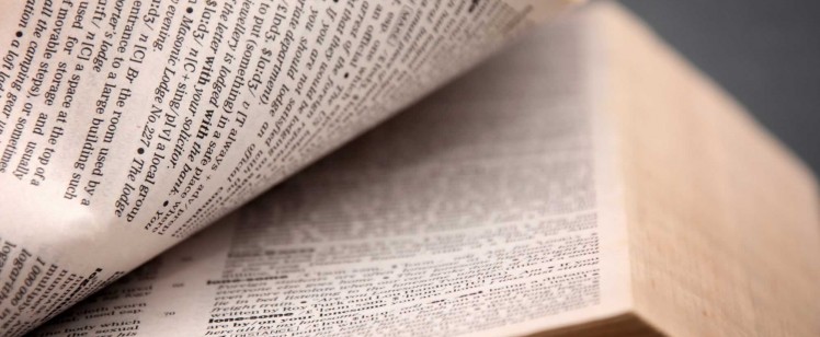 What is specialised translation?