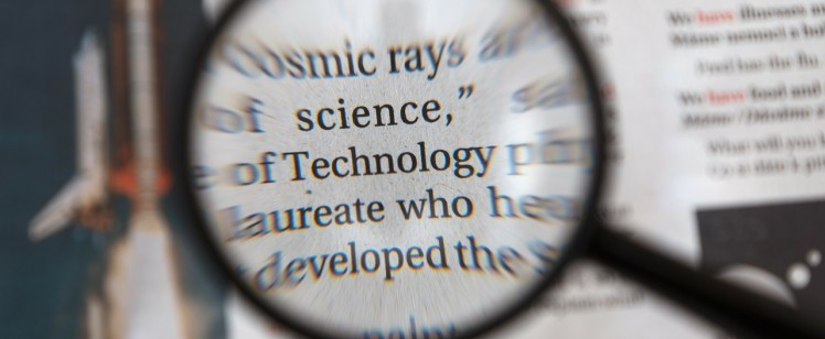 How to find the best translator for your company?